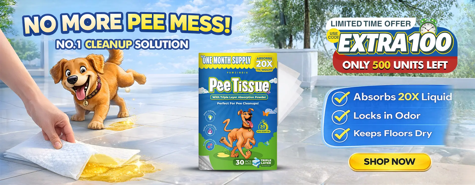 Elevate Your Pet's Lifestyle